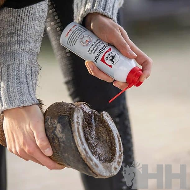 HIGIENIZADOR DE CASCOS LEOVET FROGMEDIC - Imagen 2
