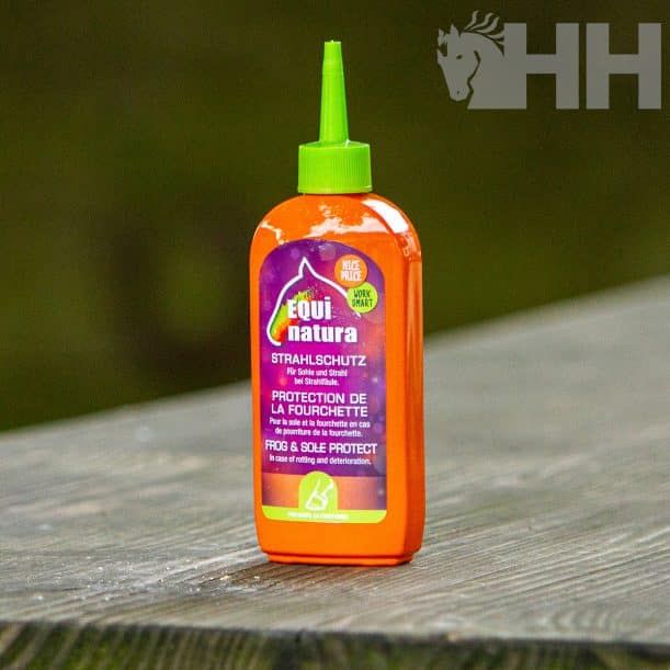 HIGIENIZADOR DE CASCOS EQUINATURA FROG & SOLE PROTECT