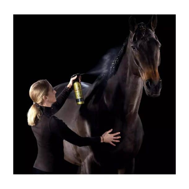Acondicionador C&D Canter Mane & Tail  Spray 500ml GOLD EDITION - Imagen 2