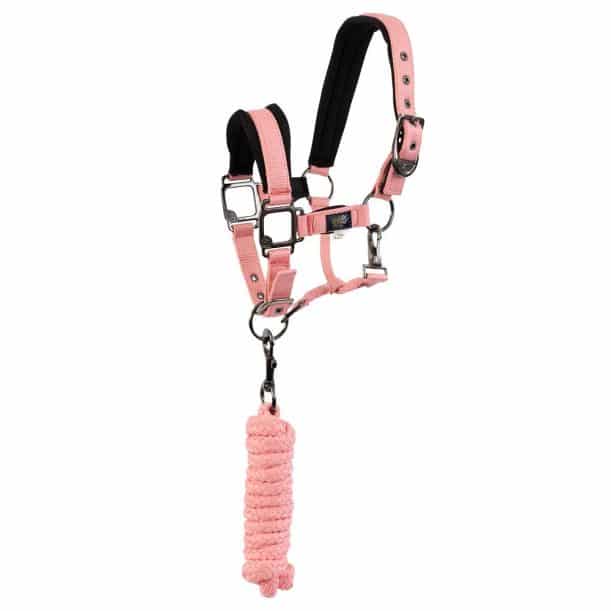 BR Mini Cabezada de Caballo con Cuerda de Plomo - Imagen 6