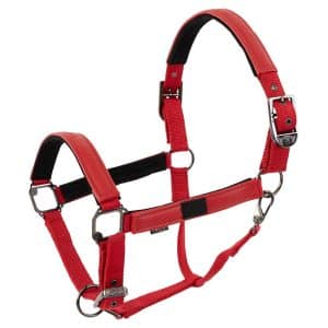 BR cabezada de cuadra Halter Jade
