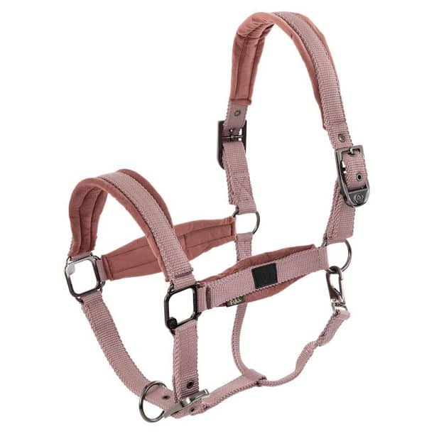 Cazada de cuadra BR Halter Julia - Imagen 2
