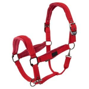 Cazada de cuadra BR Halter Julia
