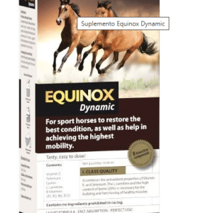 Suplemento Muscular para Caballos – EQUINOX Dynamic