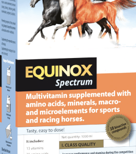 Vitaminas y Minerales para Caballos – EQUINOX Spectrum
